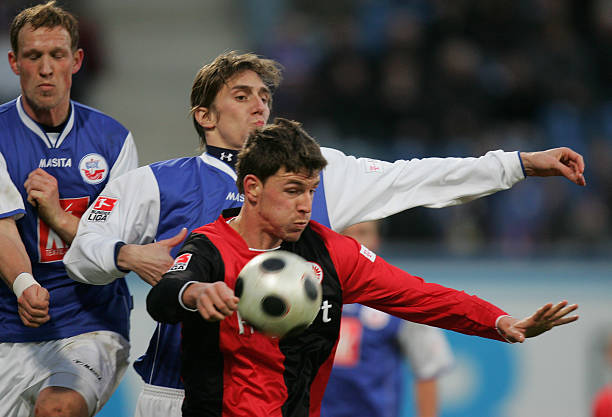 不仅鼓舞了 不仅鼓舞了