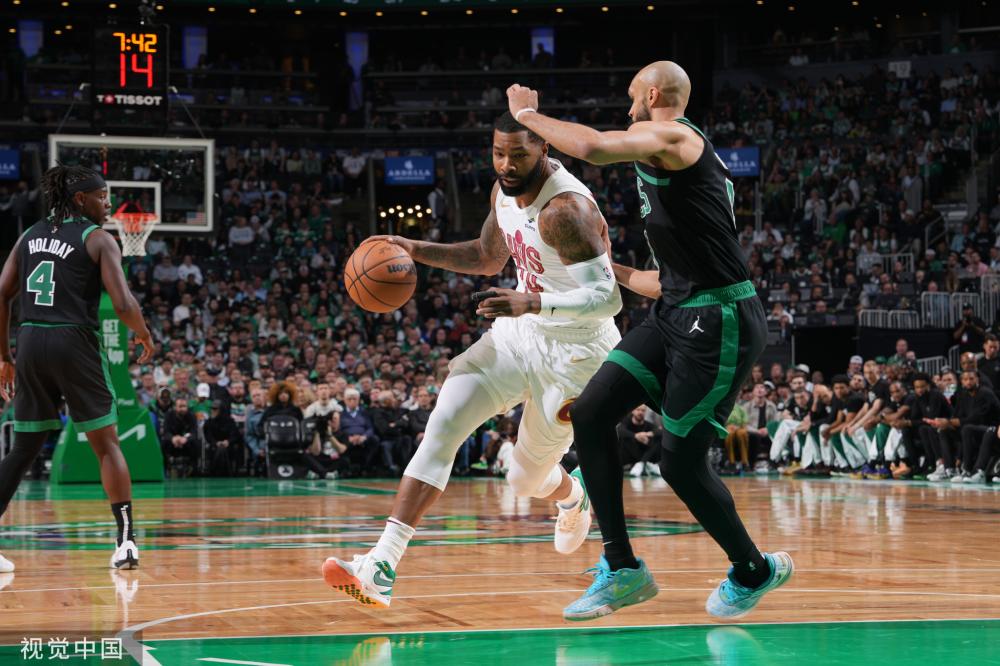 无心插柳柳 无心插柳柳